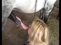 [ Zoo XXX Film ] Blondie can&#039;t live without white horse